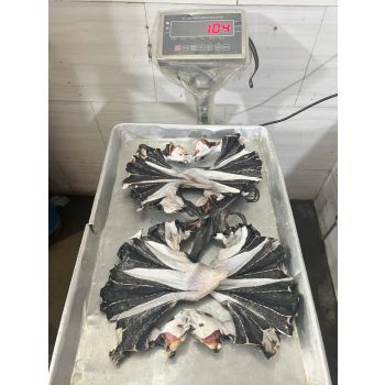 Khô Cá Hắc Cấy giá bao nhiêu - bán ở đâu - làm món gì ngon