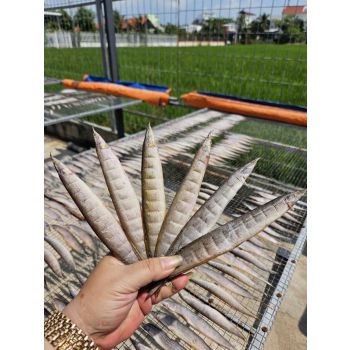 Khô Cá Chạch Đồng giá bao nhiên - bán ở đâu - làm món gì  ngon 